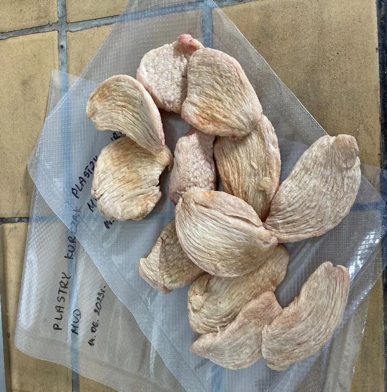 Przykład suszonego produktu: chipsy z kurczaka