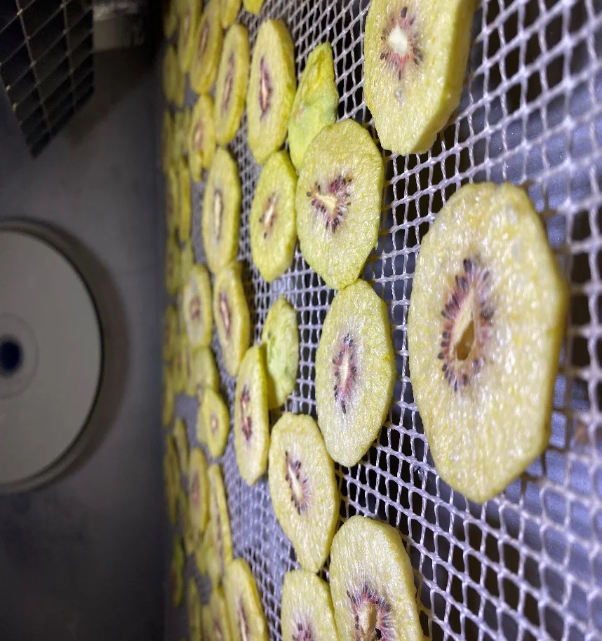 Przykład suszonego produktu: kiwi